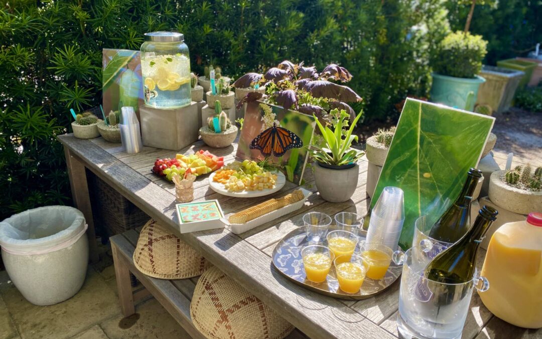 Butterfly Life Cycles