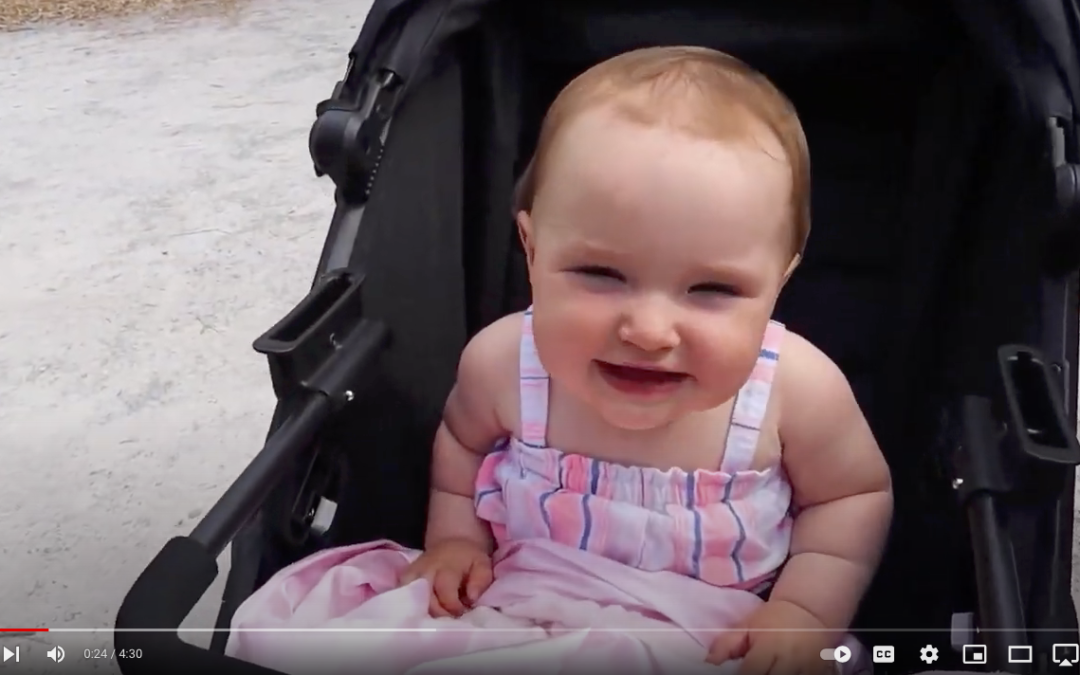 Misfits Visit Clay Garden