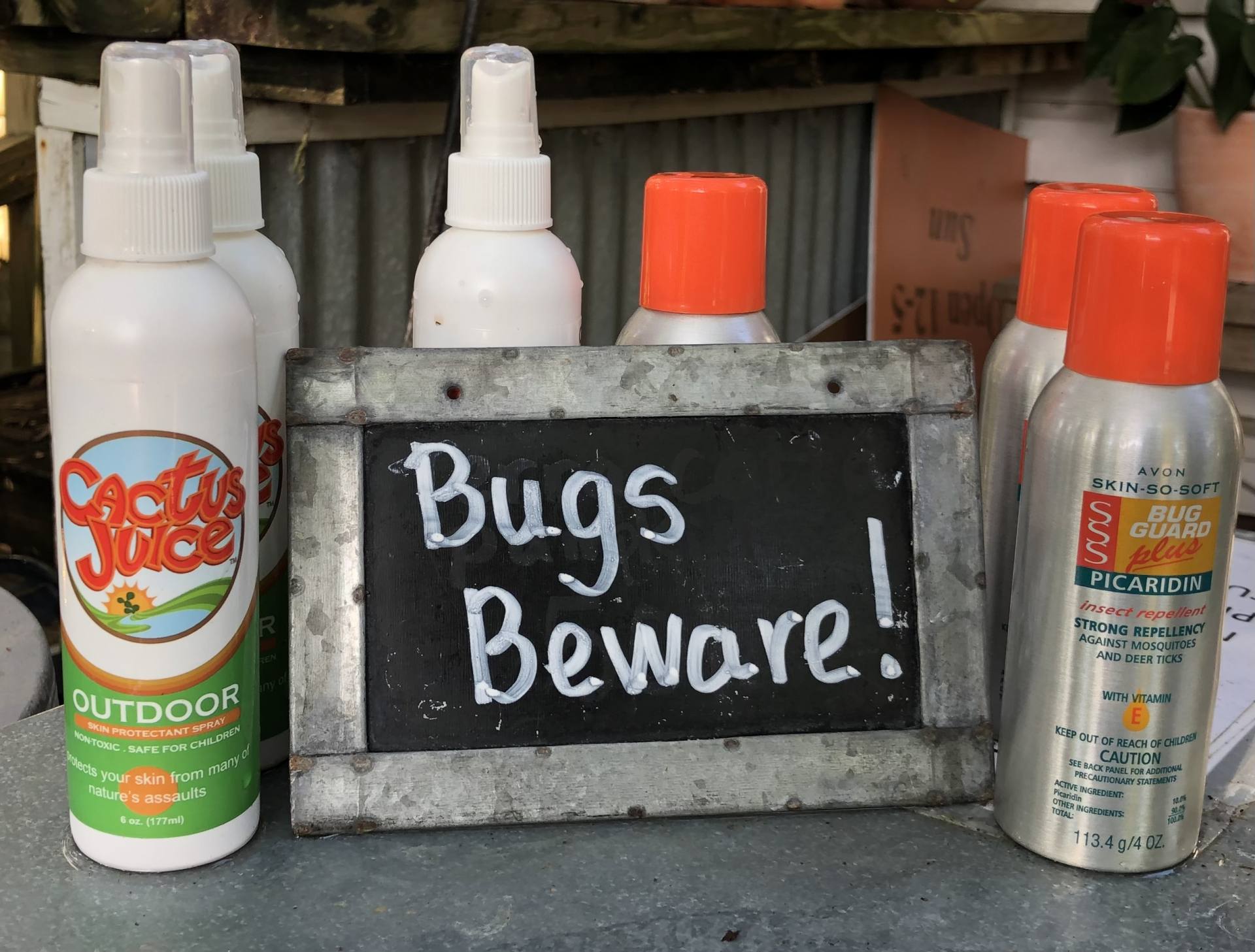 Bugs Beware! Bug spray