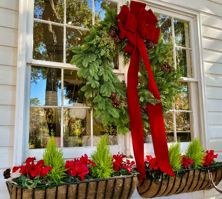 Fresh Holiday Greenery