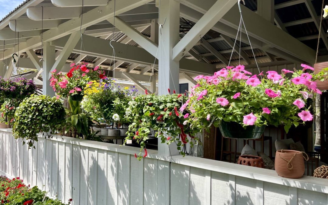 Mother’s Day Gift Guide